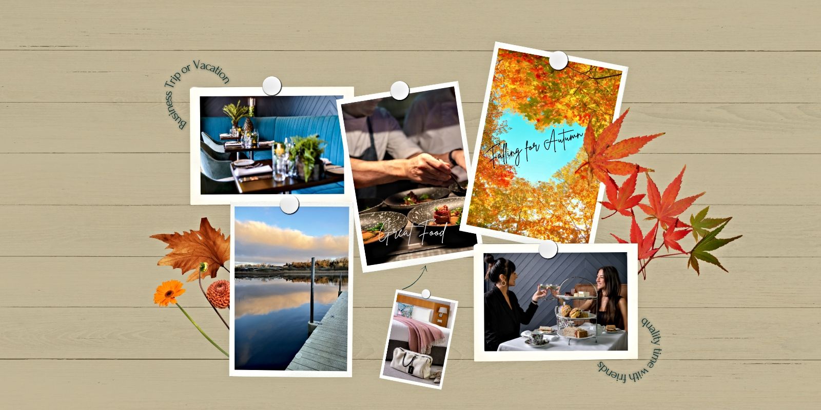 Falling for Autumn (4) Falling for autumn Ellison Hotel